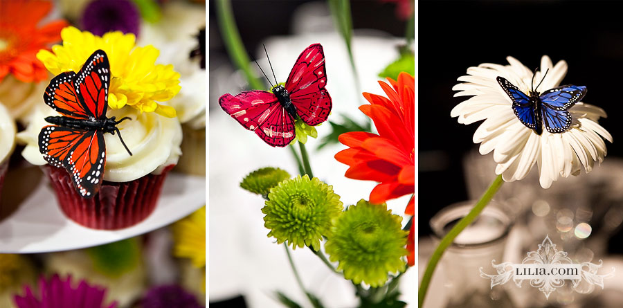 Butterfly Indie Wedding East Bay Wedding Photographer