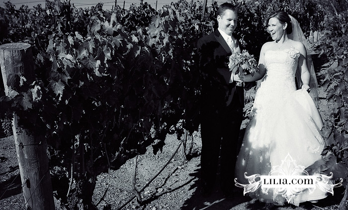 Viansa Sonoma Wedding