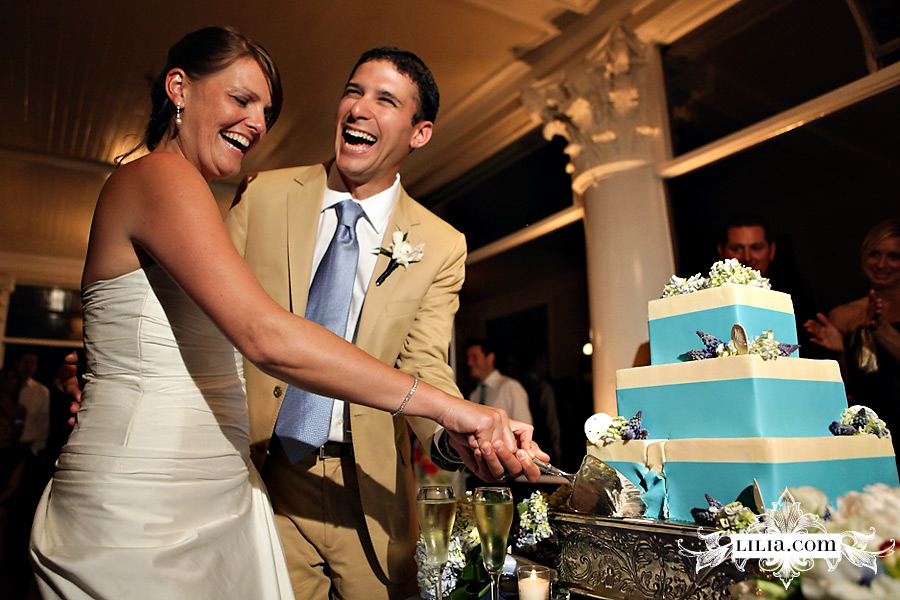 Cake Cutting