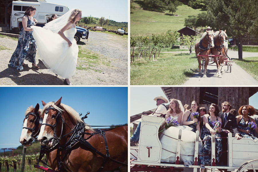 Healdsburg Farm Wedding