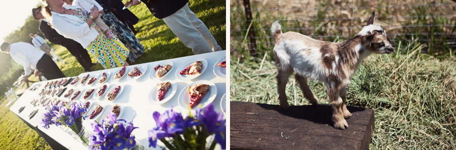 Healdsburg Farm Wedding
