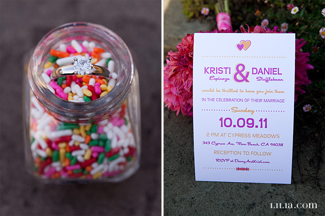 Half Moon Bay Wedding