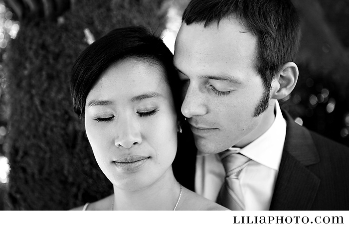 Fern Grove Golden Gate Park