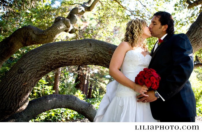 Piedmont Wedding