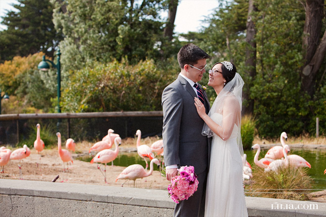 San Francisco Zoo Wedding