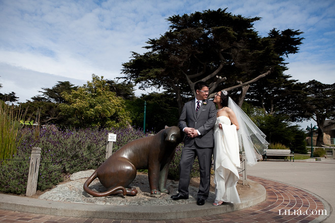 San Francisco Zoo Wedding