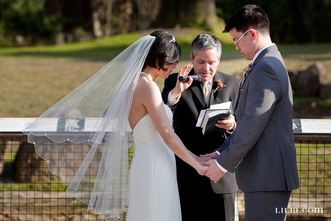 San Francisco Zoo Wedding