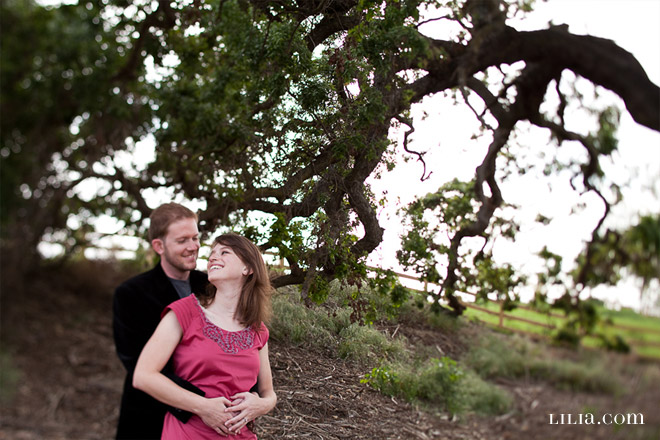 Engagement Session, Couple in Field with Giant Oak Tree
