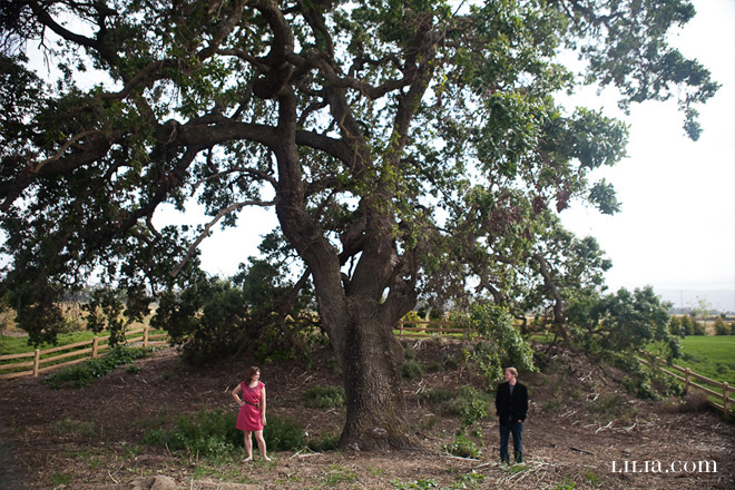 Engagement Session, Couple in Field with Giant Oak Tree