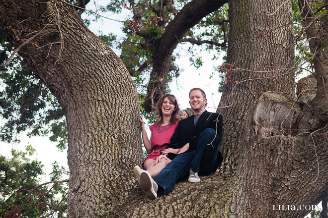 Engagement Session, Couple in Field with Giant Oak Tree