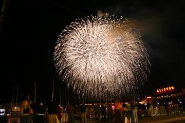 fireworks-pier39-03.jpg
