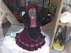 victorian alligator lady at Paxton Gate