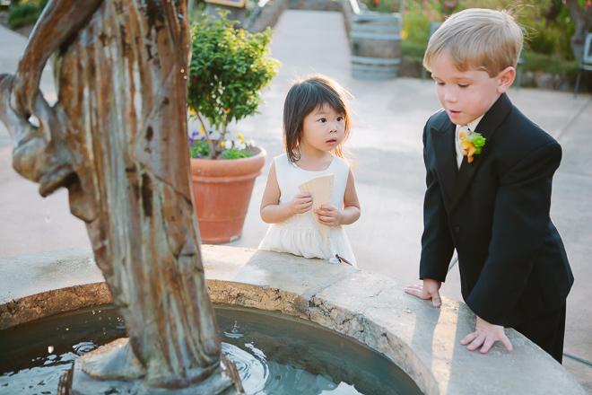 Flower girl and ringbearer at a Viansa winery wedding in Sonoma